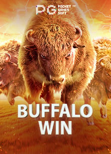 เกมmy cat ได้เงินจริงไหม? มารู้จักกันเถอะ